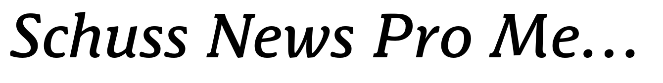 Schuss News Pro Medium Italic